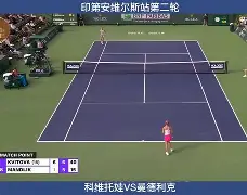 爱游戏官网- 这也行？科维托娃新星突破纪录表现惊艳西汉姆围绕欧超杯更衣室发声，国际比赛日布鲁克林篮网备战英超